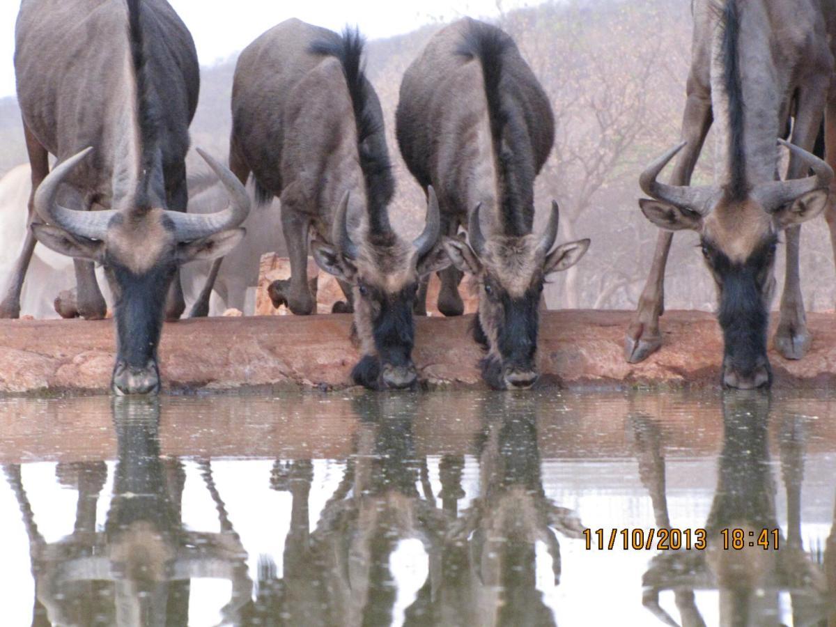 Okutala Etosha Lodge Outjo Exterior photo